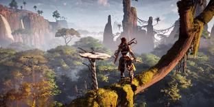 Слухи о том, что на ПК вышла отладочная версия Horizon Zero Dawn не подтвердились